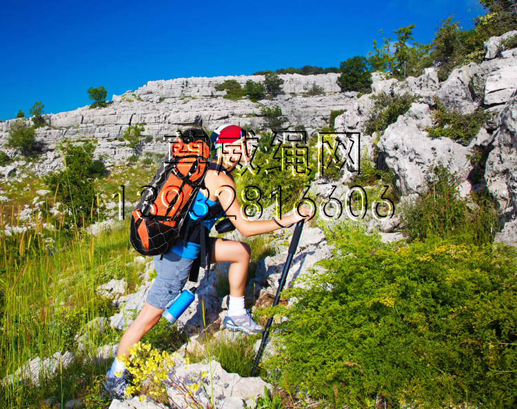 尊威不銹鋼繩網