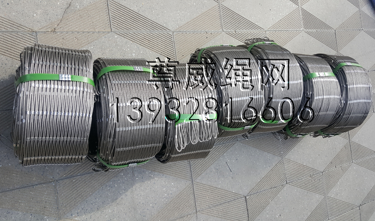 尊威不銹鋼絲繩網