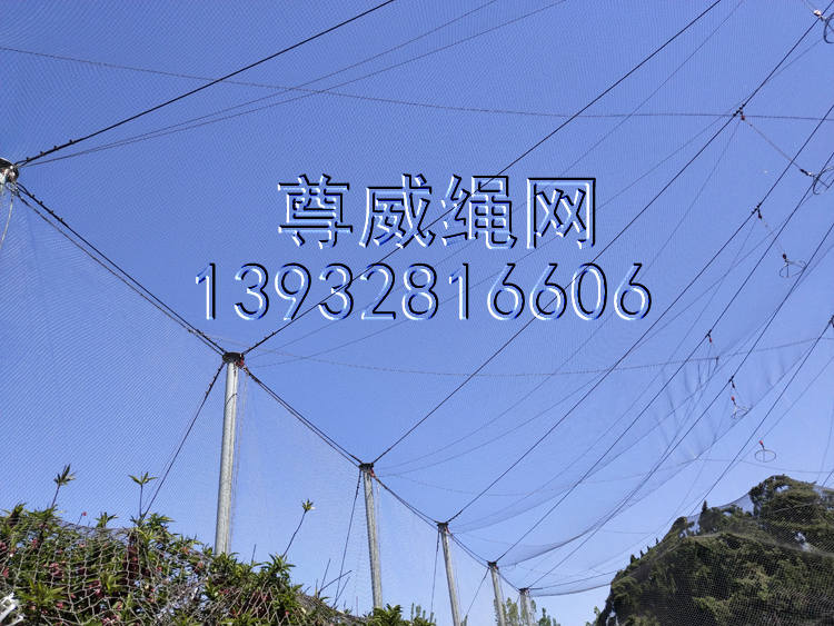 尊威不銹鋼繩網