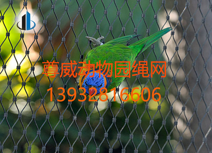 不銹鋼絲繩網(wǎng)