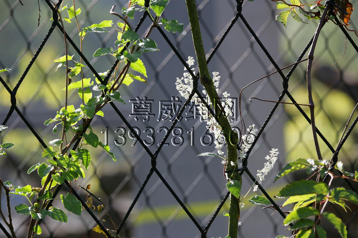 尊威黑色不銹鋼繩網