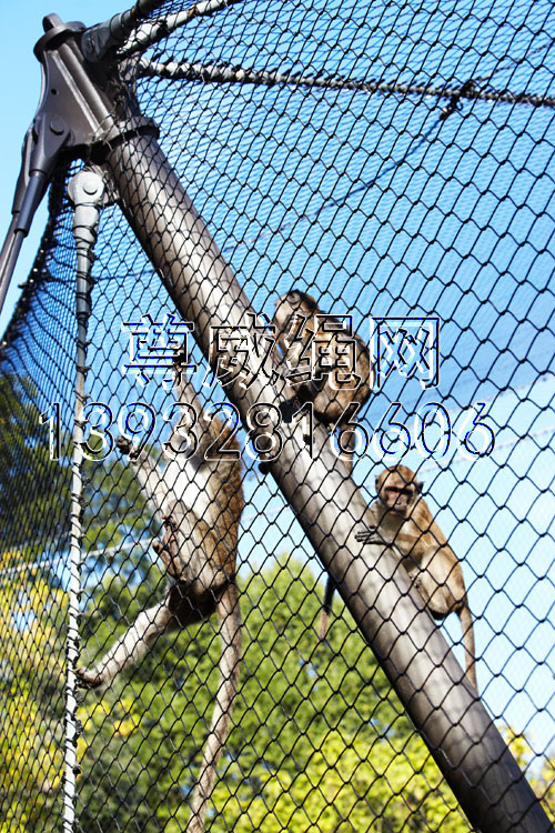 尊威黑色氧化不銹鋼繩網