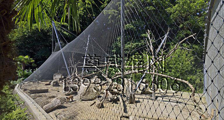 尊威黑色不銹鋼繩網