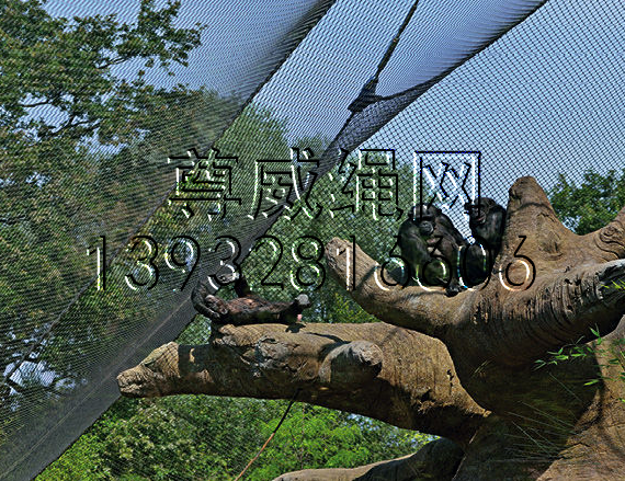 尊威黑色不銹鋼繩網