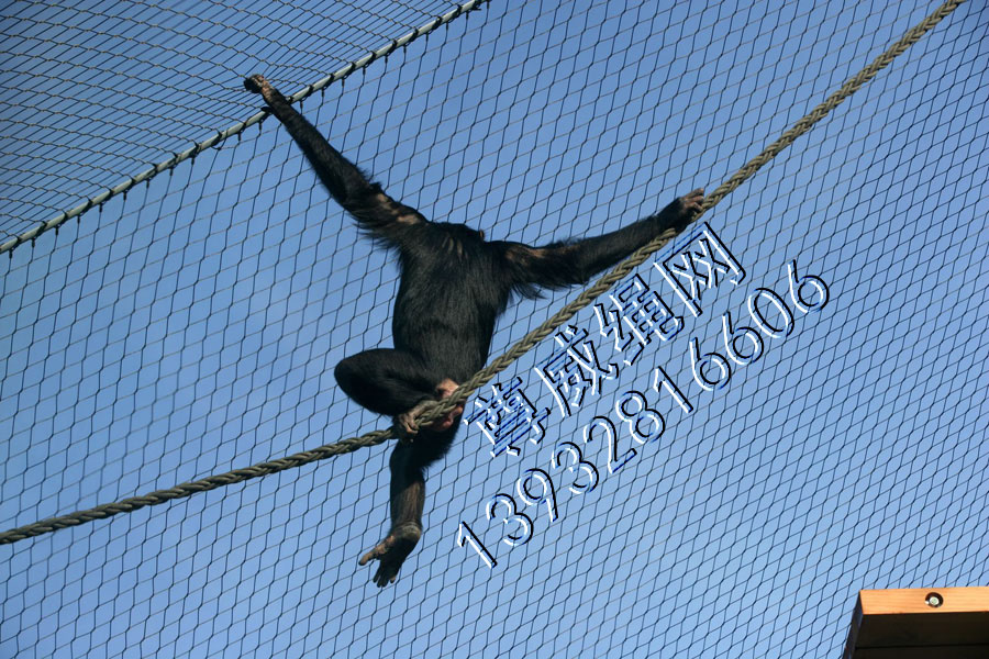 尊威不銹鋼繩網