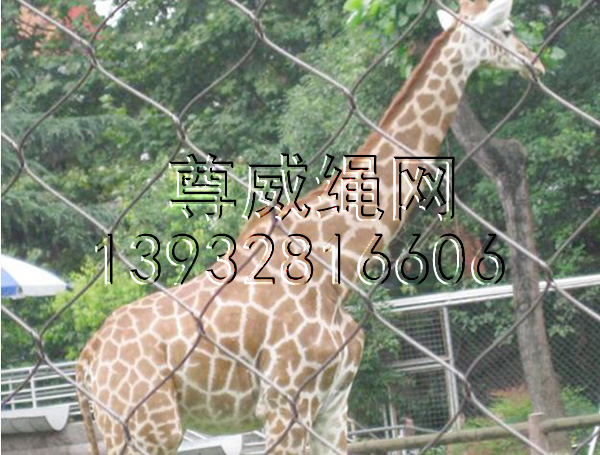 尊威不銹鋼繩網