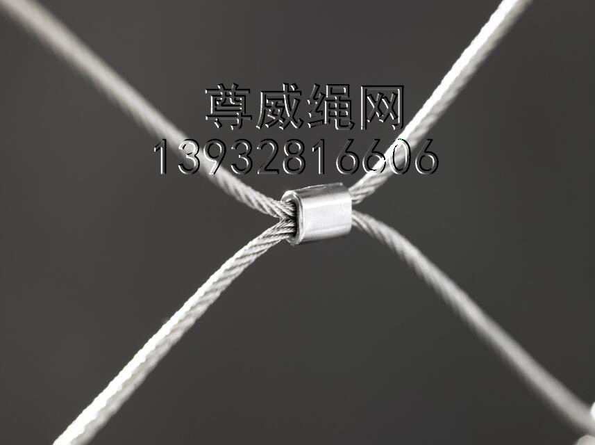 尊威不銹鋼繩網