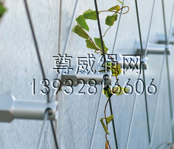 尊威不銹鋼繩網